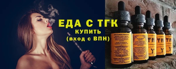индика Зеленодольск
