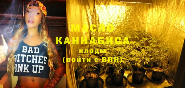 индика Зеленодольск