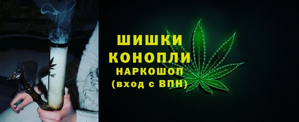 индика Зеленодольск