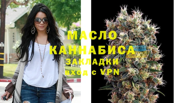 индика Зеленодольск