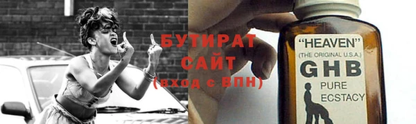 индика Зеленодольск