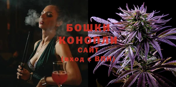 индика Зеленодольск